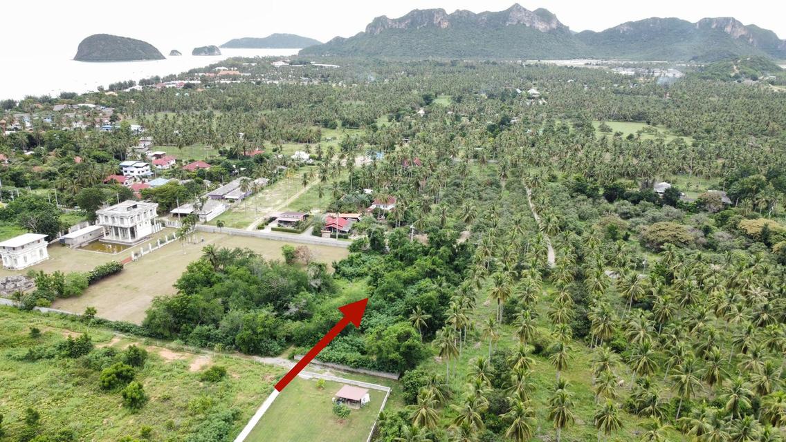 ที่ดินห่างทะเล 500 เมตร สามร้อยยอด ประจวบ เหมาะลงทุนหรือบ้านตากอากาศ 8