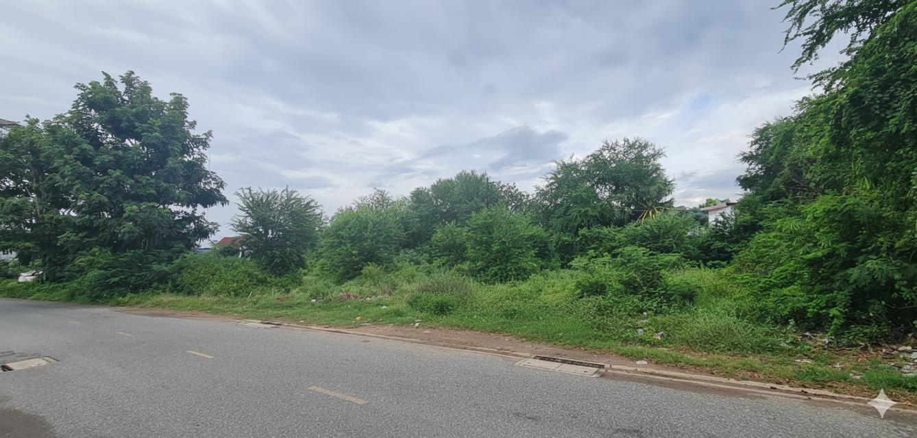 ขายที่ดินเปล่าแปลงสวย ทำเลดี ใกล้โรบินสัน กาญจนบุรี 4