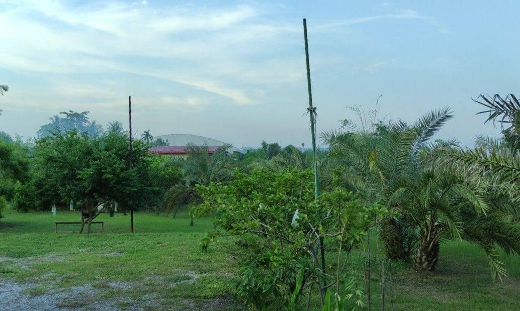 ขายที่ดิน อ.บ้านโป่ง  จ. ราชบุรี 6 ไร่ พร้อมบ้าน 3 หลัง 8