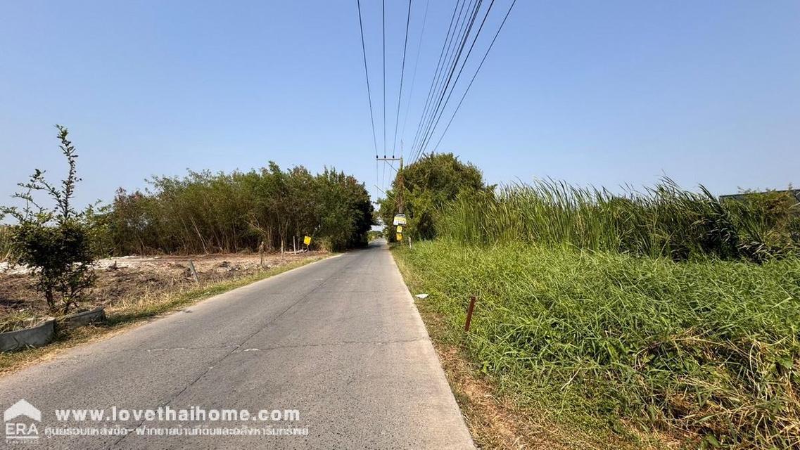 ขายที่ดิน ถนนรังสิต-นครนายก17 พื้นที่ 100 ตรว. ใกล้ห้างฟิวเจอร์พาร์ค รังสิต แปลงสวย ราคาถูกในย่านนั้น 7