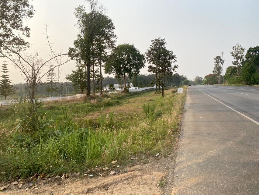 ขายที่ดิน 37 ไร่ ติดทางหลวงสาย เลย เพชรบูรณ์ 6