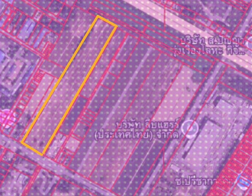 ที่ดิน นิคมพัฒนา ระยอง ทำเลทอง ทำเลอุตสาหกรรม สีม่วงลาย ใกล้ถนน 36  4