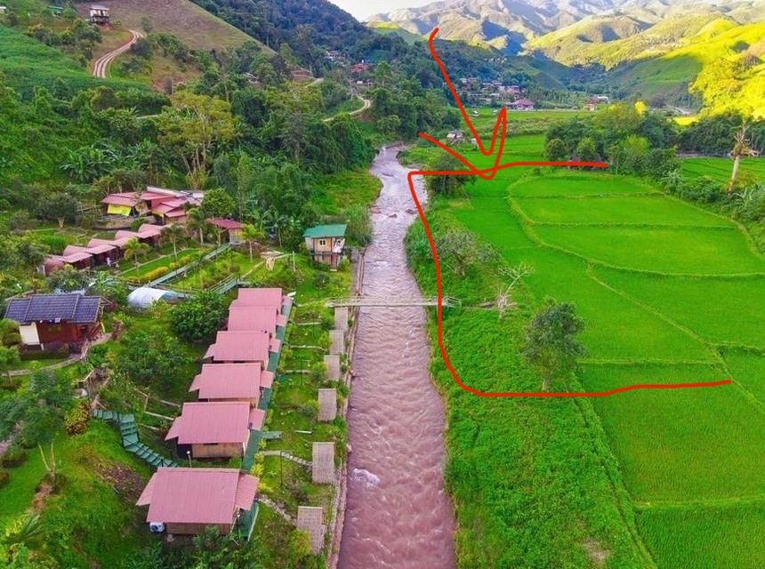 ขายที่ดินพร้อมวิวธรรมชาติ อากาศเย็นตลอดทั้งปี 6