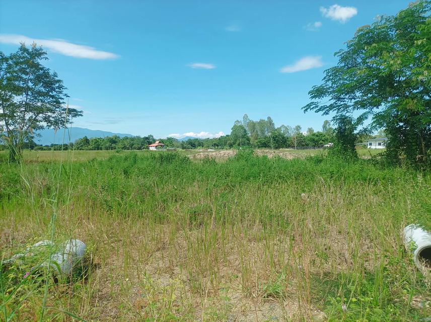 ขายที่ดิน ราคา3,980/ตร.ว. ต.สำราญราษฎร์ อ.ดอยสะเก็ด จ.เชียงใหม่ 8