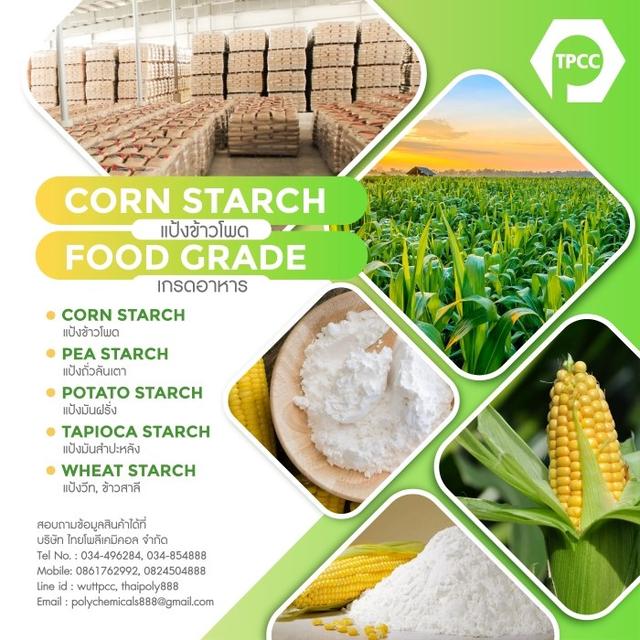 แป้งข้าวโพด, Corn starch, คอร์นสตาร์ช, แป้งข้าวโพดไทย, Thailand cornstarch, แป้งข้าวโพดจีน, China cornstarch 