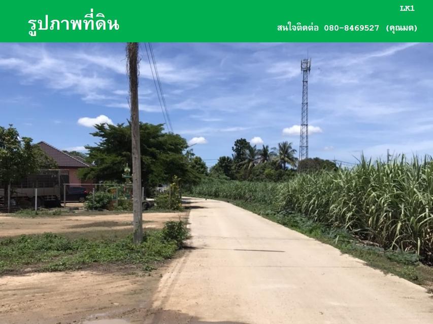 ขายที่ดินหนองลานพระแท่น(น้ำไม่ท่วม) 8
