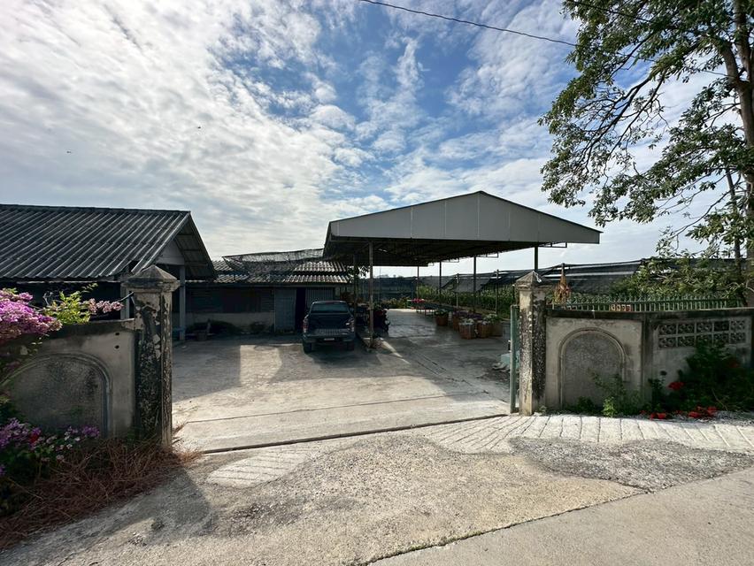 ขายที่ดิน อ.บางเลน เนื้อที่ 45ไร่ 1งาน 176ตร.ว พร้อมสวนกล้วยไม้ 9