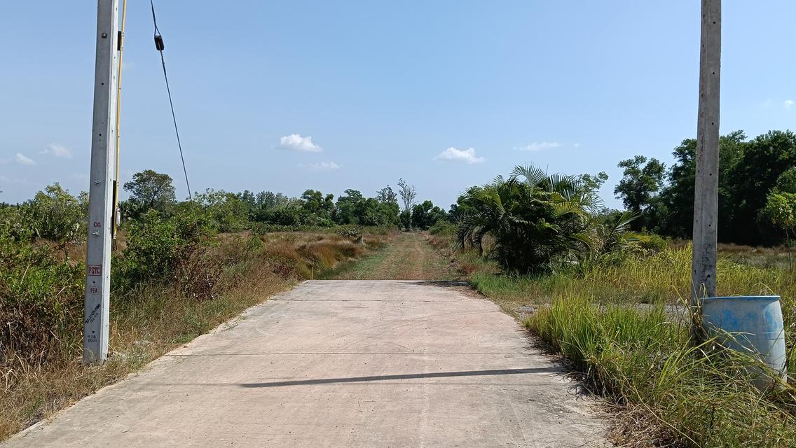 ที่ดิน อำเภอแกลง จังหวัดระยอง 6