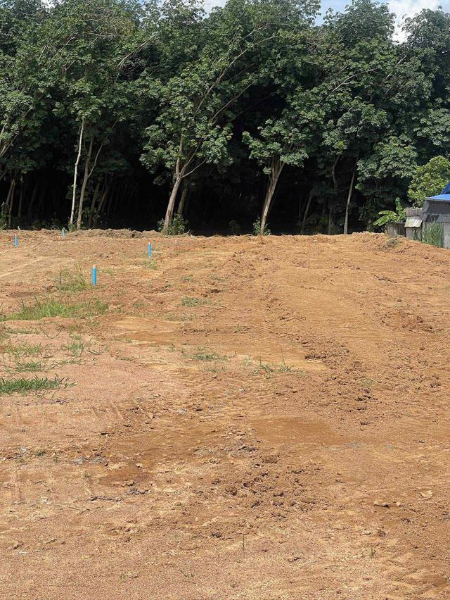 ขายที่ดินจัดสรรหนองละลอกเริ่มต้น 50 ตรว. ถมแล้วน้ำ-ไฟพร้อมใกล้นิคมปิ่นทอง6-1.8กม. อ.บ้านค่าย ระยอง 3