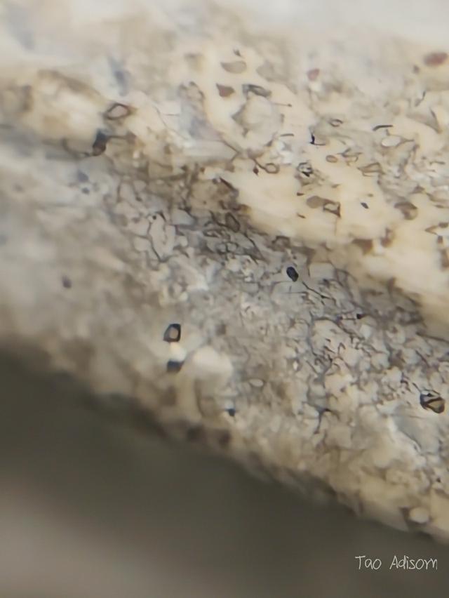 พระสมเด็จวัดระฆังโฆสิตาราม 17