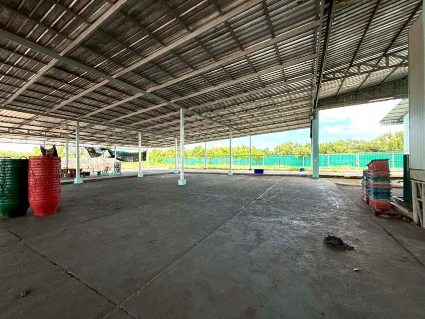 ขาย โรงงาน FA064 ฟรีสดาย ปากน้ำแหลมสิงห์ แหลมสิงห์ จันทบุรี . 4500 ตรม 11 ไร่ 41.4 ตรว มีใบอนุญาติ รง 4 ใบ แถมฟรีเครื่อง 4