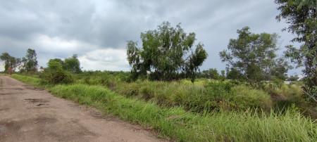 ขาย ที่ดิน 2 ไร่ คลอง 14 หนองเสือ ปทุมธานี ใกล้ถนนเลียบคลอง 14  เจ้าของขายเอง