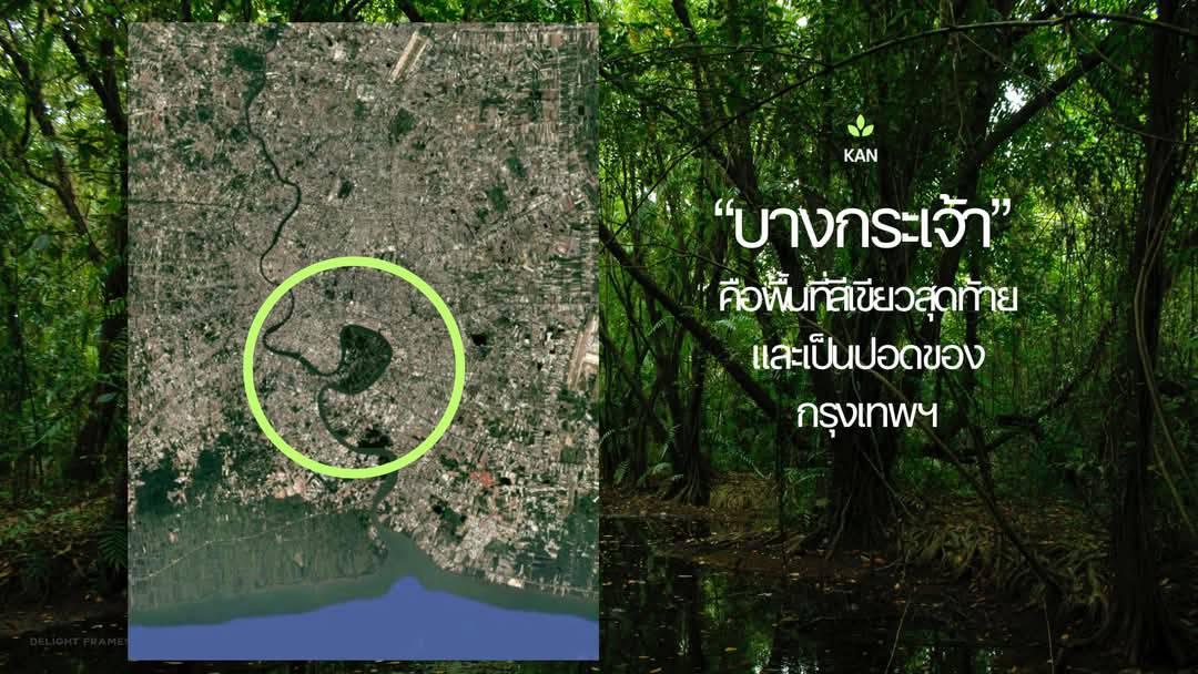 บ้านเรือนไทยพร้อมที่ดิน 9