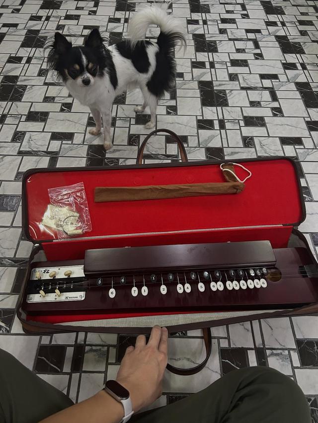 พินญี่ปุ่นไทโชโกะโตะ พร้อมกล่อง พร้อมสาย สภาพสมบูรณ์ 8