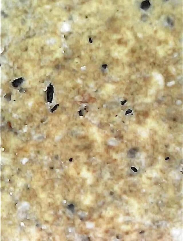 พระสมเด็จวัดระฆังพิมพ์ใหญ่เกศทะลุซุ้ม 9