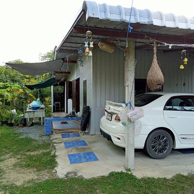 ขายสวนมะม่วงพร้อมบ้านราคา2400000บาท 2