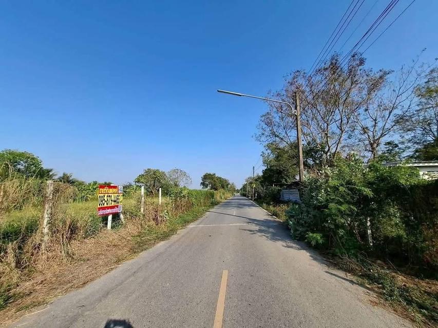 Vายด่วนที่ดิน 2ไร่ ) ( ติดถนนลาดยางสารณะ ซอยบึงบอน 13 หนองเสือ ปทุมธานี 3