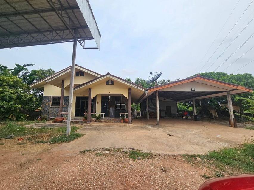 ขายบ้านพร้อมที่ดิน ติดการไฟฟ้าส่วนภูมิภาคจังหวัดชัยภูมิ 5