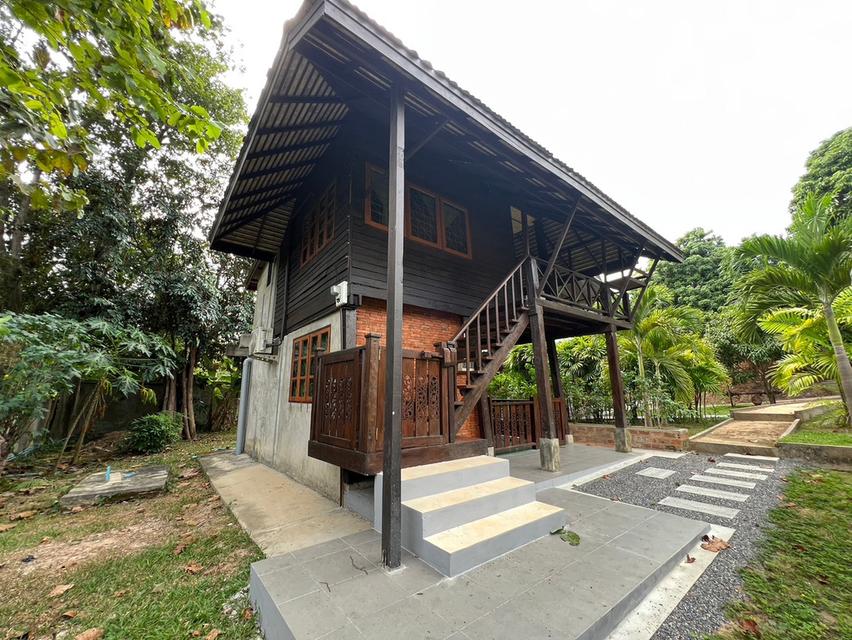 ให้เช่าบ้านเดี่ยวยกสูง ตอบโจทย์คุ้มค้า 2ห้องนอน 2ห้องน้ำ 18000/เดือน อุปกรณ์ภายในครบครัน ใกล้สิ่งอำนวยความสะดวก 2