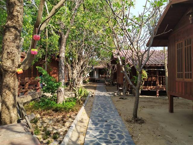 ขายที่ดิน 3 ไร่ อ.ดอนเจดีย์ จ.สุพรรณบุรี พร้อมสิ่งปลูกสร้าง รีสอร์ท 14 หลัง 4