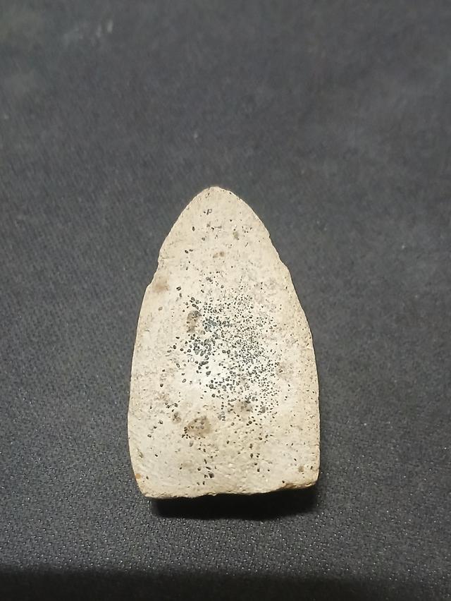 พระหลวงปู่ทวดเนื้อผงสีขาว วัดช้างให้ ปี พ.ศ. 2524 รูปย่อยที่ 2