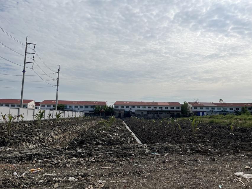 ขายที่ดินริมถนนพระราม2 บางกระเจ้า สมุทรสาคร 6