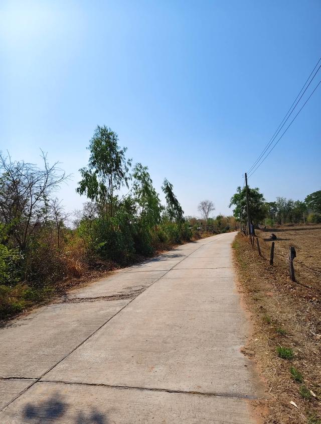 ️ด่วน เจ้าของขายเอง🎉 🎉12 ไร่ 52ตารางวา ไร่ละ250,000 บาท โฉนดครุฑแดง🌟 อยู่ใกล้โรงพยาบาลบัวลาย ด้านหน้าติดถนนคอนกรีต มีไฟฟ้า ด้านหลังติดห้วยสาธารณะ 4