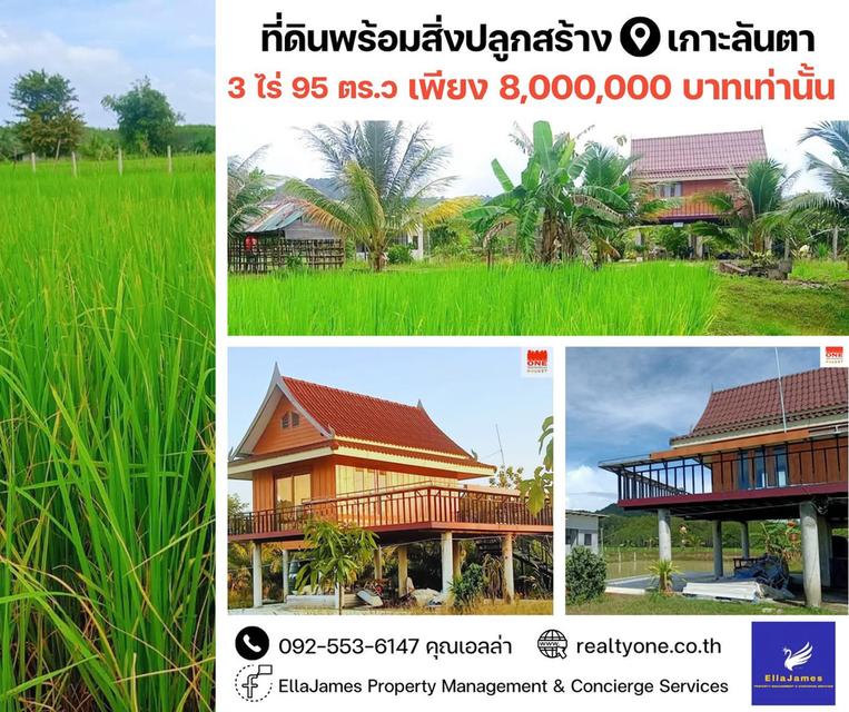 ขายที่ดินพร้อมสิ่งปลูกสร้าง 3ไร่ 95 ตร.ว เกาะลันตา เมือง กระบี่ (บ้านพักตากอากาศส่วนตัว หรือ สร้างพูลวิลล่า, รีสอร์ท , ที่พักได้) 2