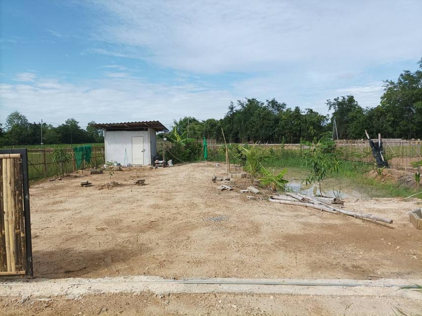 ขายที่ดินเปล่าพร้อมถม ต.สง่าบ้าน อ.ดอยสะเก็ด จ.เชียงใหม่ รูปที่ 19