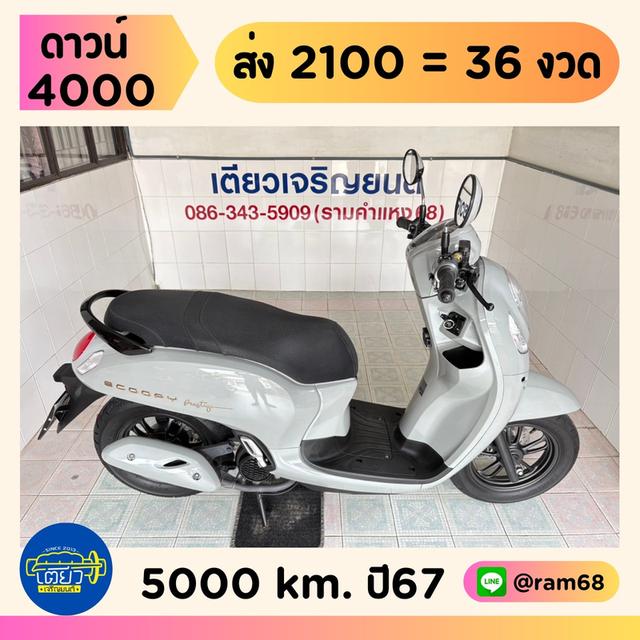 Scoopy Prestige มีสมุดคู่มือ มีรับประกัน รถมือเดียว ใช้งานน้อย สภาพใสกริ๊บ ออกง่าย ไม่ต้องค้ำ วิ่ง5000 ปลายปี67