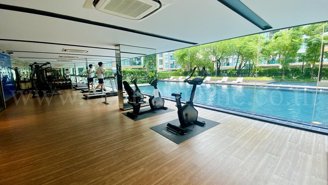 คอนโด ดิ เอ็กเซล ไฮด์อะเวย์ สุขุมวิท 50 ราคาถูกที่สุด 6
