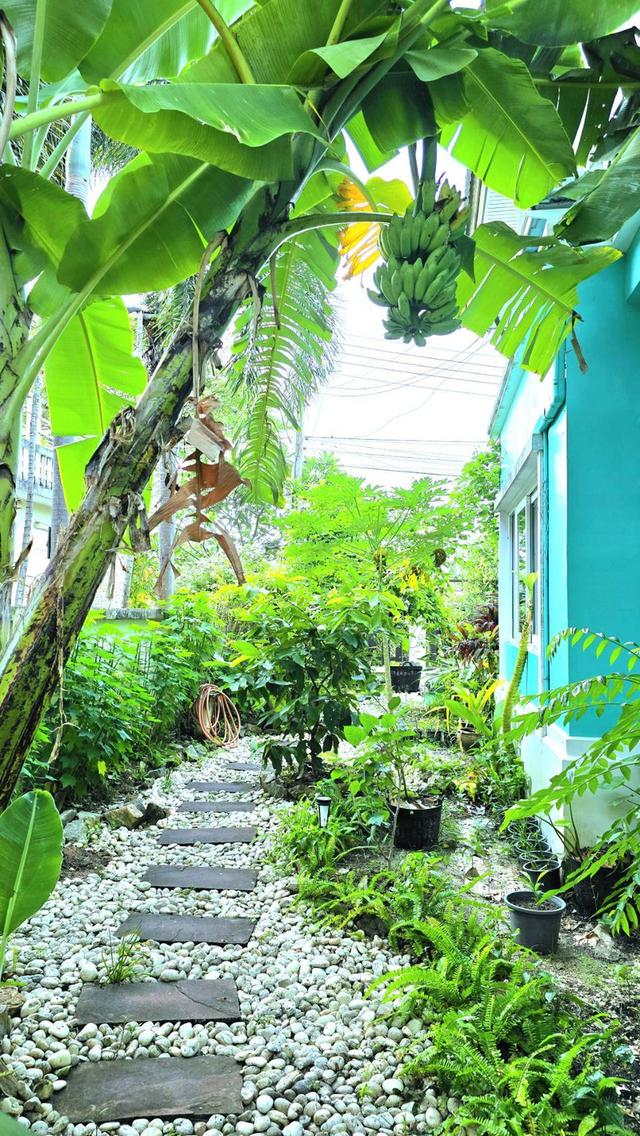 บ้านริมทะเล​บางพระ​บางแสน​ ชลบุรี 9