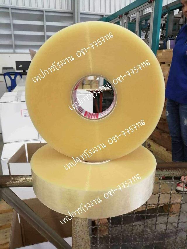 เทปปิดกล่อง 081-7757116