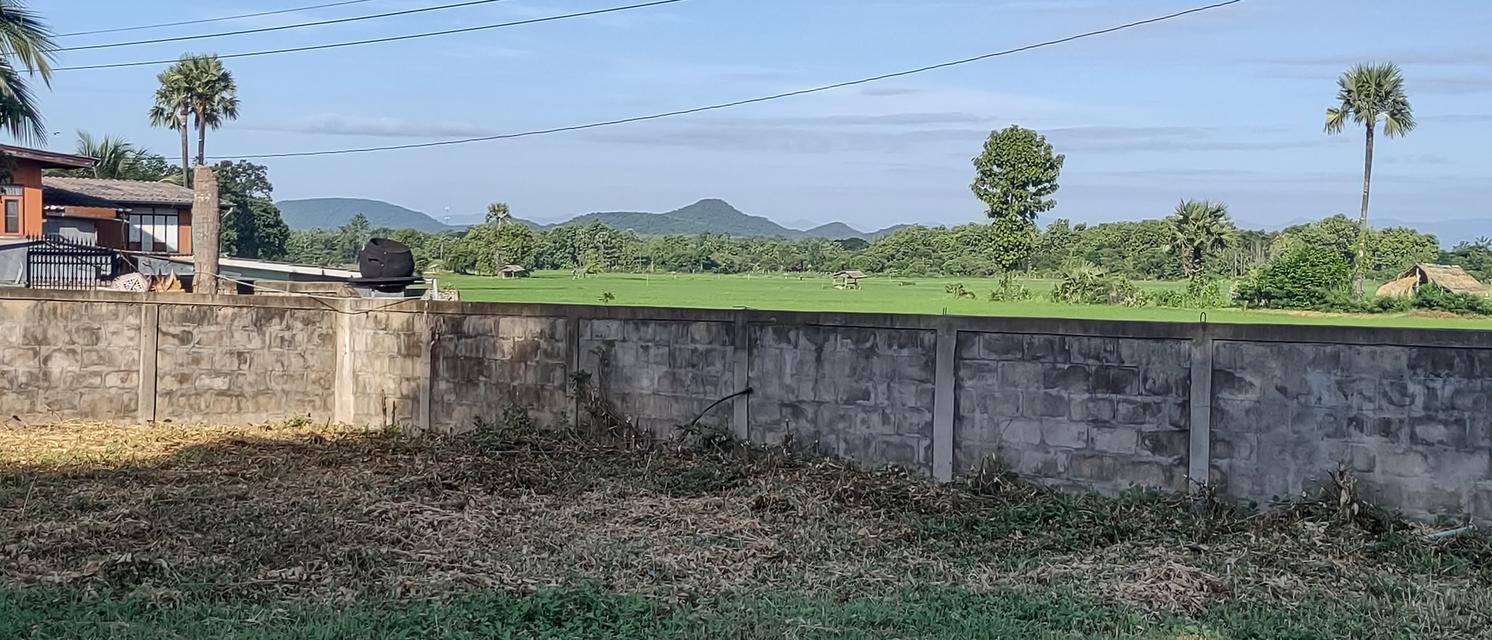 ที่สำหรับสร้างบ้าน 115ตรว 490,000อยู่บ้านนาแก้วตะวันออก ต.นาแส่ง อ.เกาะคา จ.ลำปาง วิวเขา วิวทุ่งนา อยู่กลางชุมชนห่างถนนพหลโยธิน 80เมตร ห่าง7-1 17