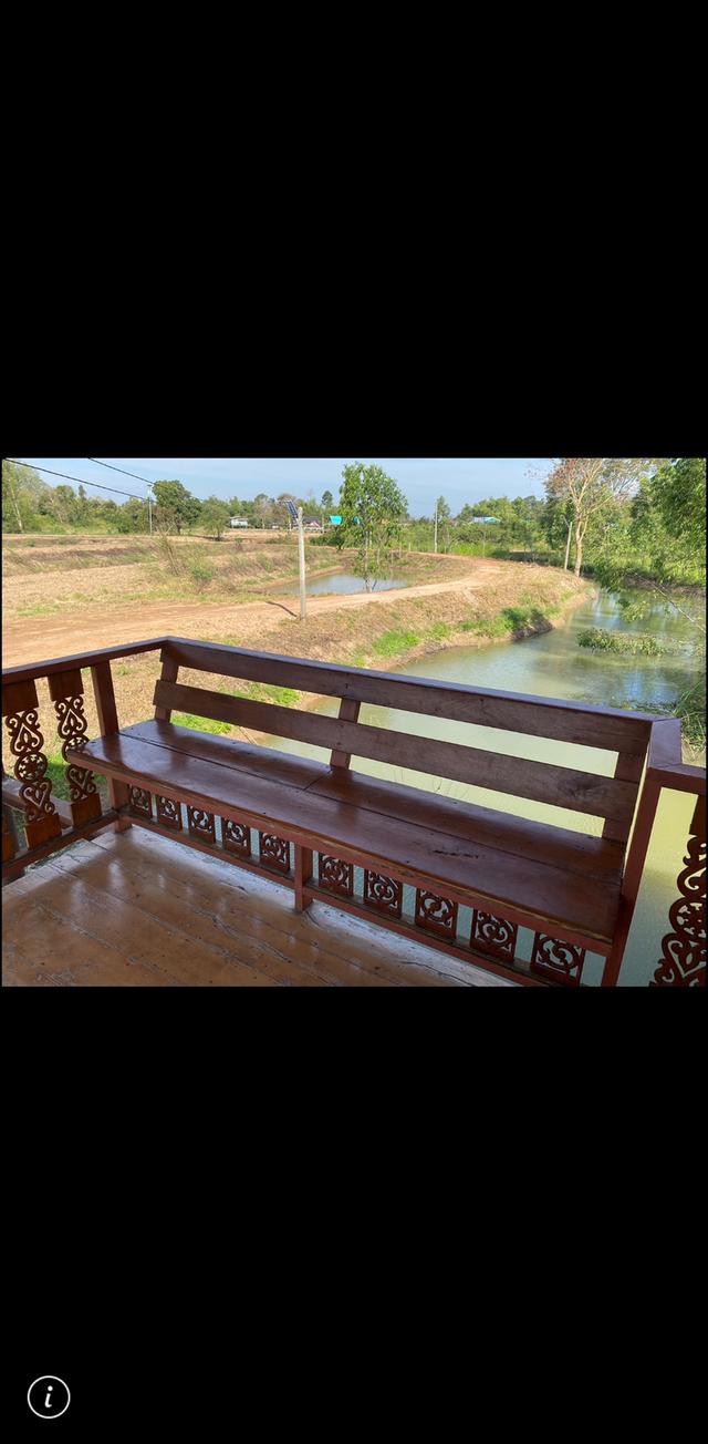 ขายที่ดิน 14 ไร่ พร้อมบ้าน น้ำไฟหลวง ยูคาฯ 6000 ต้น อายุ 2 ปี  2