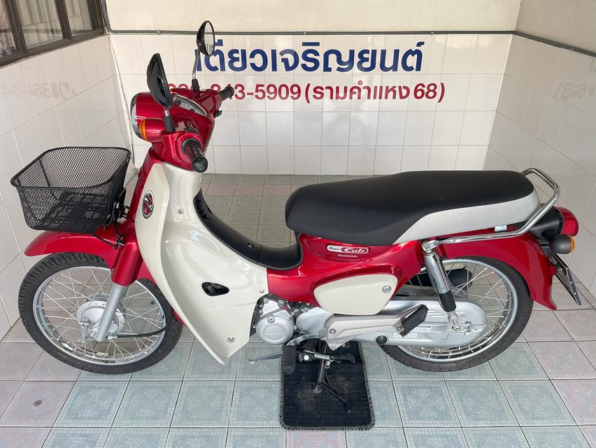 Super Cub โฉม2023 สภาพซื้อจอด รถมือเดียว เอกสารครบ ไม่ล้ม ไม่ชน เครื่องเดิม ชุดสีไร้รอย จัดส่งได้ทั่วไทย วิ่ง2000 ปี66 4