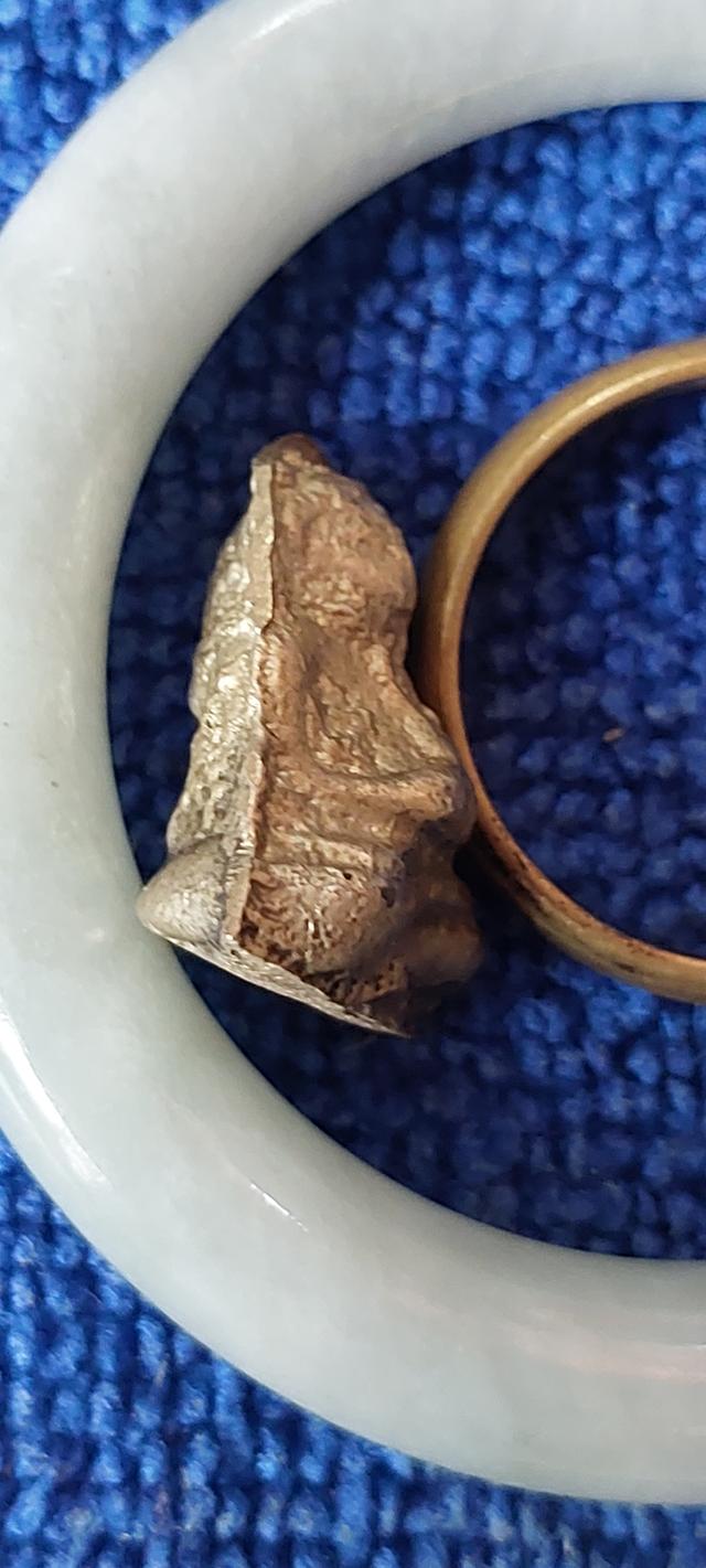 พระสังกัจจายน์ อาจารย์ดิษฐ์วัดปากสระพัทลุง รูปที่ 4