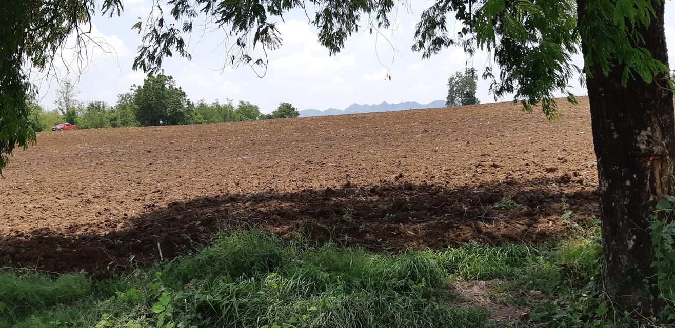 ขายที่ดินติดแม่น้ำป่าสัก 38-1-73 ไร่ แถมที่ดินเป็น น.ค.3 จำนวน 18 -2-59 ไร่ 7