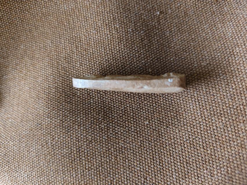 พระลีลา เม็ดขนนชุ่มกำแพง 3