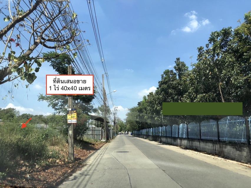 ขายที่ดิน 1 ไร่ ถนนติวานนท์ - ปากเกร็ด ซอย 56 ( ซอยพระแม่มหาการุณย์ 27 ) ปากเกร็ด นนทบุรี 098 7755 808 7