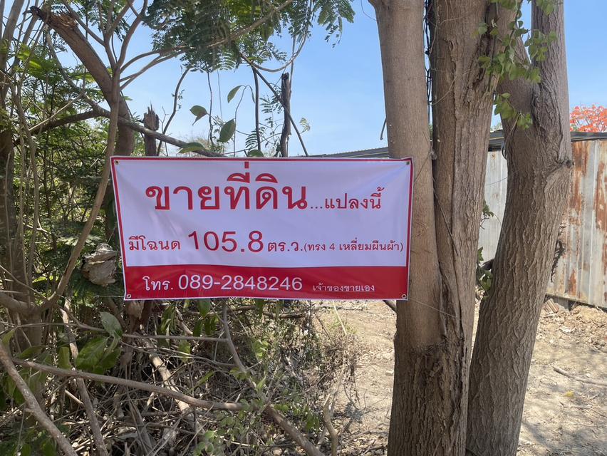 ที่ดินใกล้ชายหาดปึกเตียนเพชรบุรี 2
