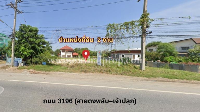 ที่ดิน ถ.3196 ( สายดงพลับ-เจ้าปลุก ) เมืองลพบุรี