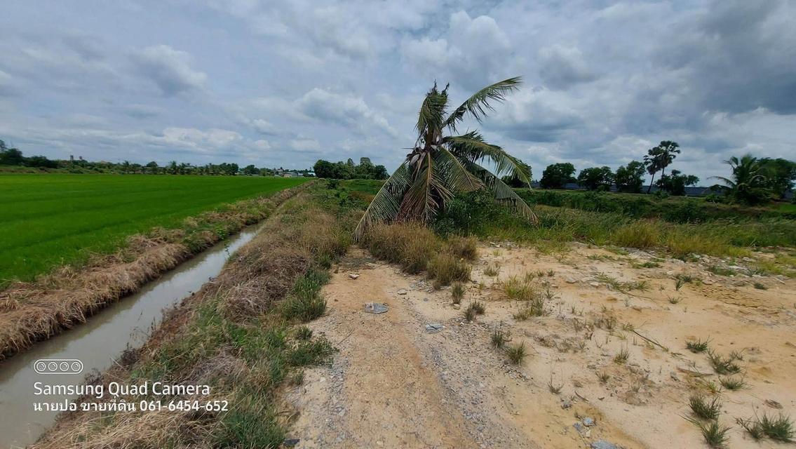 ขายด่วนที่ดินใกล้วัดไผ่หูช้าง 6-3-9 ไร่ ติดถนนลาดยางสาธารณะ บางเลน นครปฐม 7