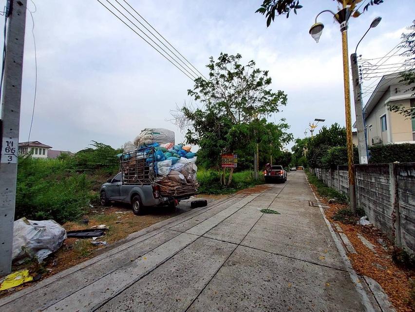 ขายด่วนที่ดิน 206 ตรว  ติดถนนคอนกรีต ซ.ลาดกระบัง 14/1 ราชาเทวะ บางพลี สมุทรปราการ 7