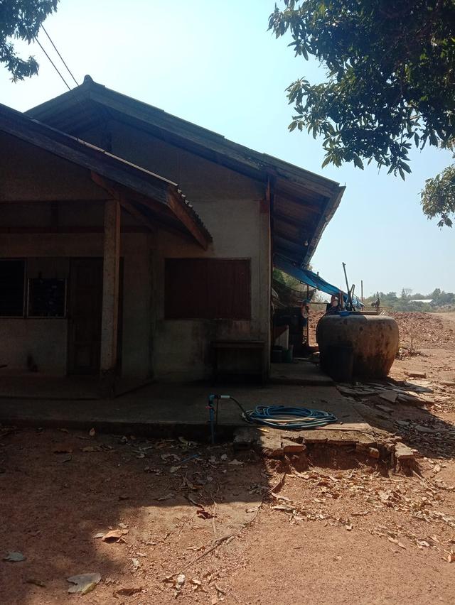 สวนห้อม ขายยกแปลง ไร่ละ 2.5 แสน มี 7 ไร่ 2 งาน 6