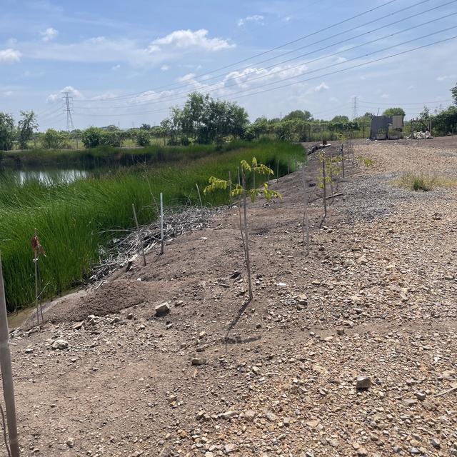 ขายที่ดินเปล่า 4 ไร่ ตำบล วัดยม อำเภอ บางปะอิน จังหวัด พระนครศรีอยุธยา 7