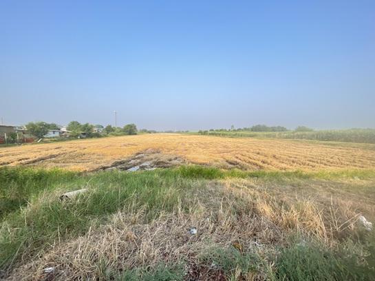 ขายที่ดินแปลงใหญ่ 52 ไร่ คลองสาม คลองหลวง 2