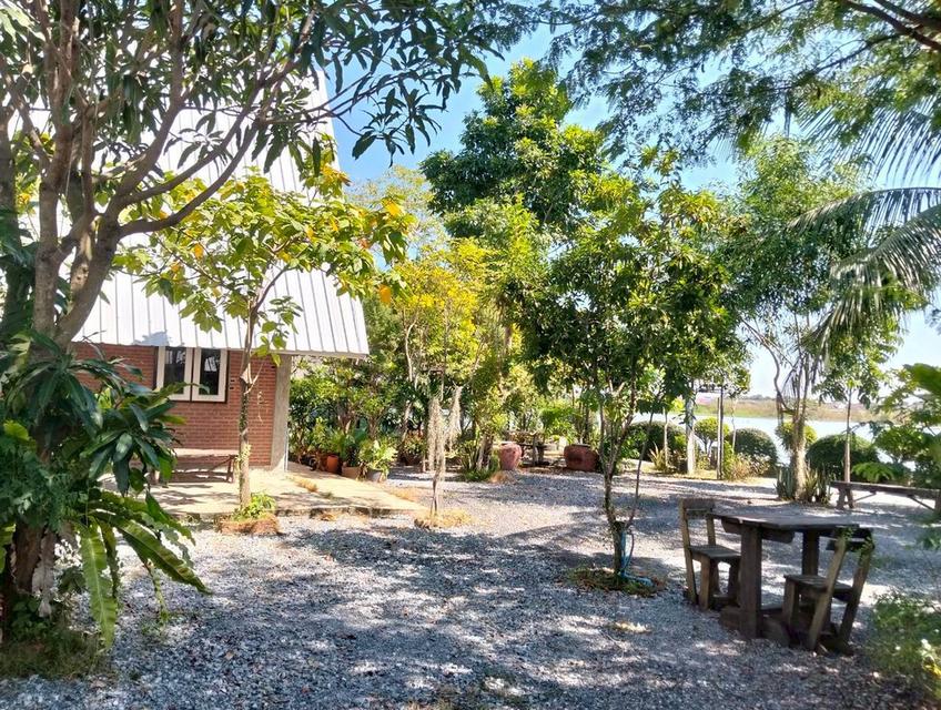 ขายบ้านชั้นเดียวพร้อมกิจการร้านกาแฟ ซอยเทศบาล 14(ซอยแดนทอง) สามโคก ปทุมธานี 4