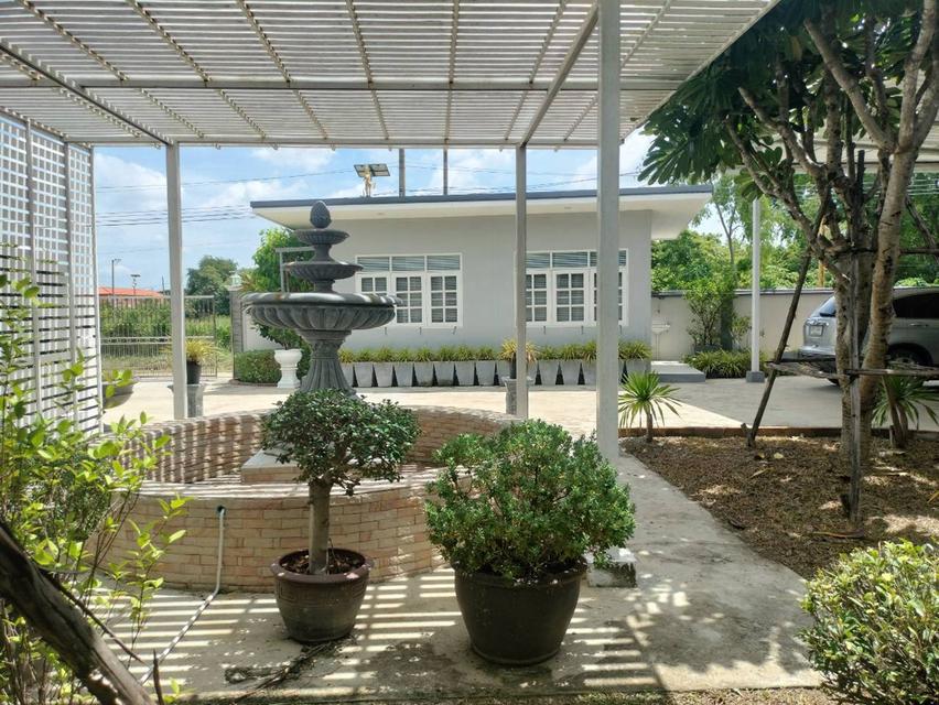🏘️ขายบ้านเดี่ยวชั้นเดียว บ้านสไตล์รีสอร์ท ในหมู่บ้านกรีนเลค ทำเลดี ใกล้สนามบินสุวรรณภูมิ เนื้อที่ 282. ตร.ว 🤩 7