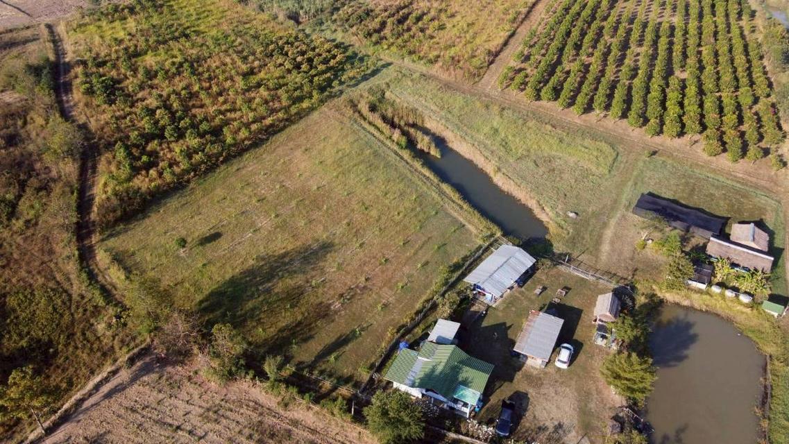 ขายที่ดินทางเลือก (ภบท5) ราคาจับต้องง่าย. ( 612บ./ ตร.วา ) ( 20 ไร่. : 4.9 ล้าน ) | ซื้อขาย เปลี่ยนชื่อได้ : พื้นที่. ปลอดภัยฯ หายห่วง | อากาศบริสุทธิ 5